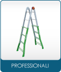 Professionali